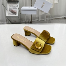 Christian Dior Slippers